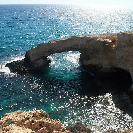 Poppy * Paralimni